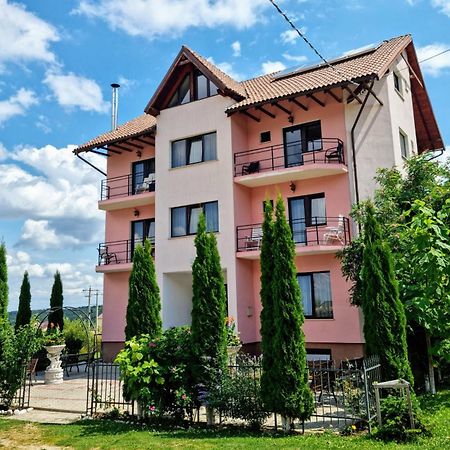 Pensiunea Emma Sîmbăta de Sus 外观 照片
