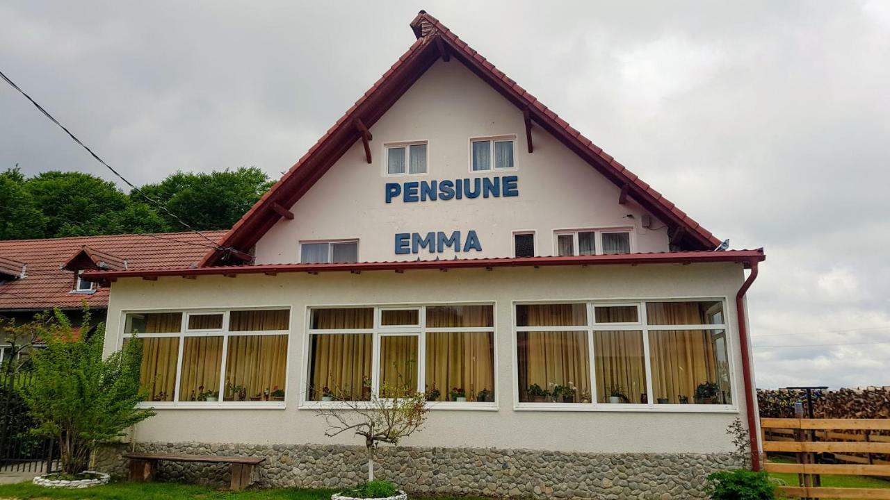 Pensiunea Emma Sîmbăta de Sus 外观 照片